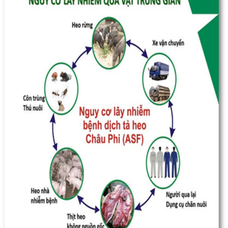 <a href="/tin-tuc-su-kien/thong-tin-van-hoa-xa-hoi" title="Thông tin văn hóa, xã hội" rel="dofollow">Văn hóa - Xã hội</a>